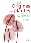 vignette